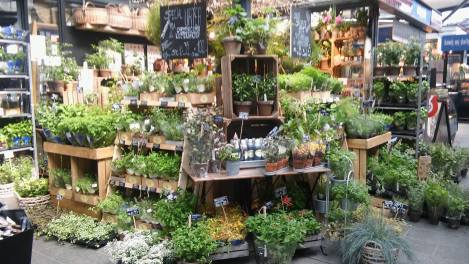 13329581_1550859775217781_6373311871156312133_o